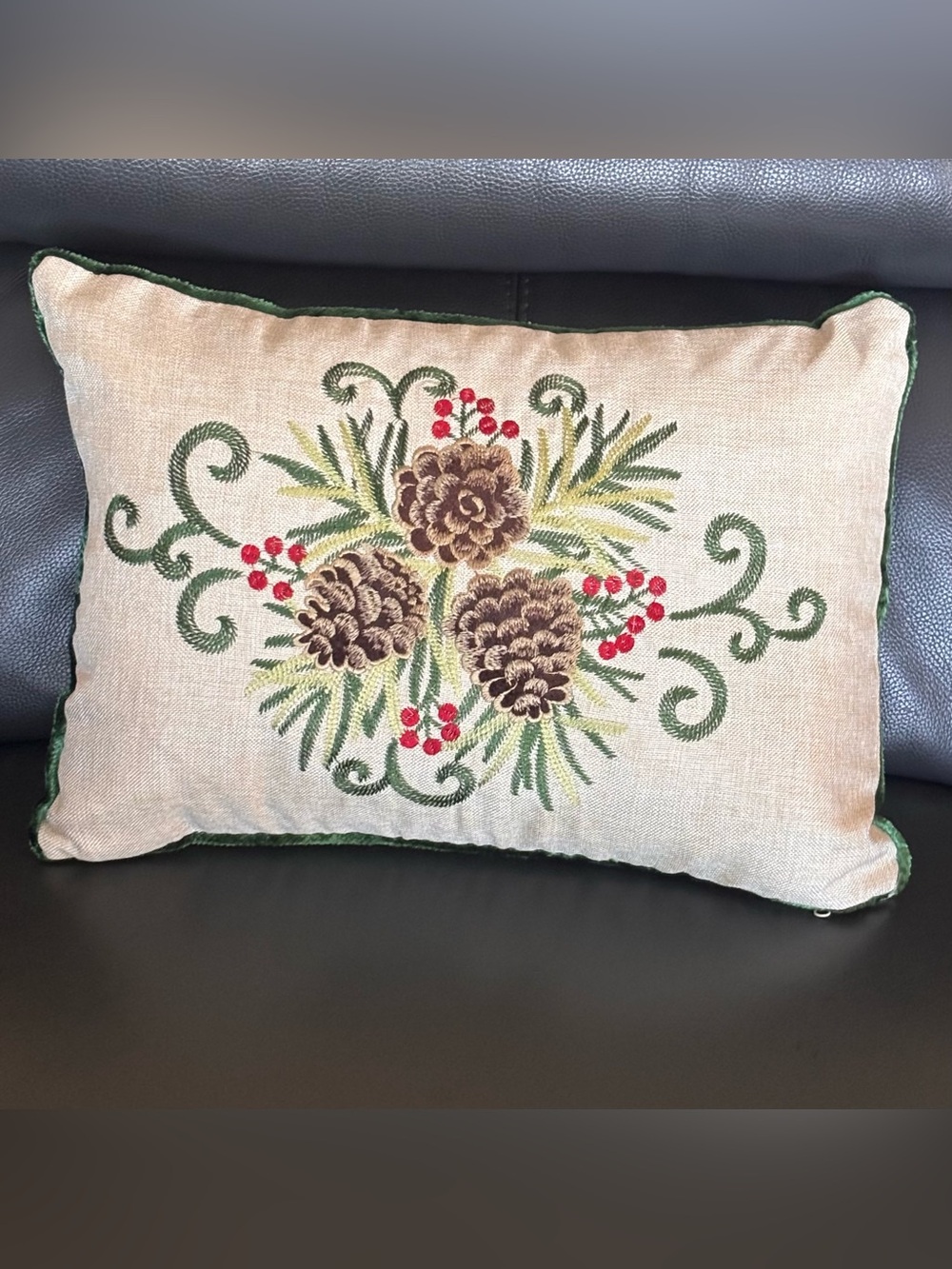 Secret Celebrity Throw Pillow Embroidered Pinecones Winter Holiday Decor Feather
